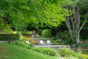 静谧绿意盎然的花园景致