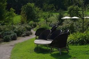 花园中的休闲桌椅景观