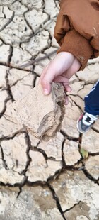 干裂土地上的手与水瓶