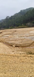 金黄田野与远处山丘景观