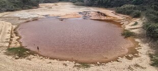 红褐色水坑景观