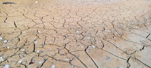 干裂土地