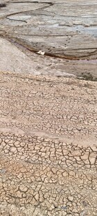 沙滩上的纹理痕迹