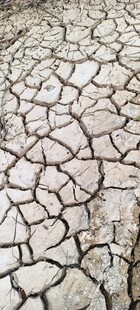 干裂土地尽显干旱之态