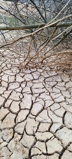 干裂土地现严重干旱景象