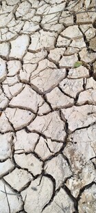干裂土地
