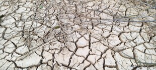 干裂土地