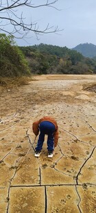 农民田间劳作场景