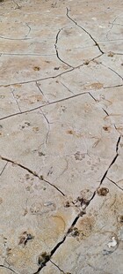 地面裂纹纹理特写