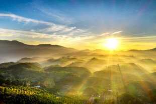 日出山林间的壮美景色