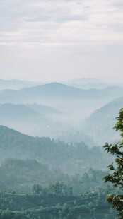山间晨雾缭绕的秀丽景致