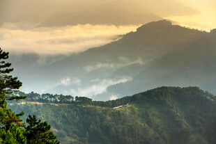 山间晨雾缭绕的壮美景色