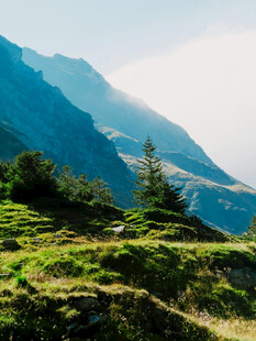 山间绿意盎然的美丽景致