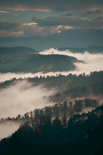 山间晨雾缭绕的壮美景色