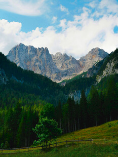 壮丽山峦与葱郁森林景观