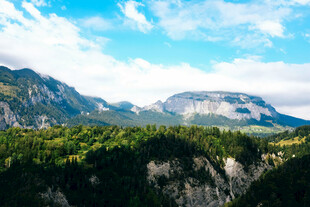 壮丽山景与葱郁森林