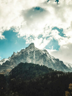 壮丽雪山与葱郁山林景观