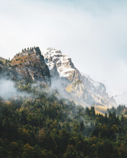 云雾缭绕的山峦与森林