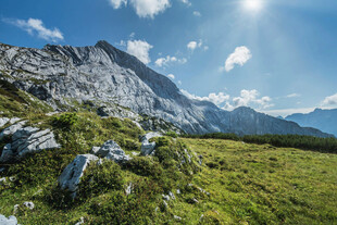 高山绿野间的明媚风光