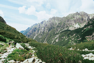 山间绿野
