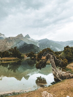 湖畔枯木与远山美景