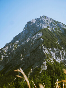 巍峨青山