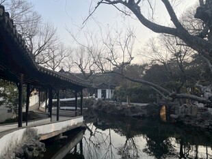 中式园林景致 静谧优美 拙政园