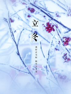 立冬海报