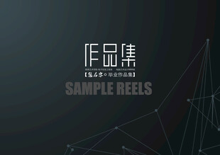 平面设计 作品集目录  极简风