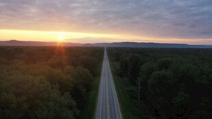 夕阳下的公路与广袤森林