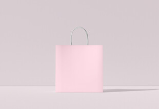 手提袋样机正面