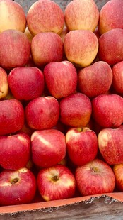 新鲜红苹果堆叠展示