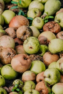一堆新鲜多样的水果