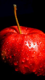 带水珠的鲜红苹果