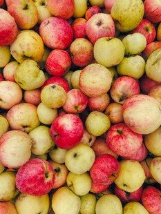 多彩苹果堆成诱人景象