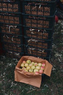 户外堆放的苹果及纸箱