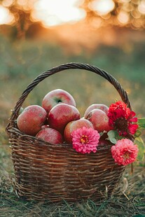 草地上的果篮与鲜花