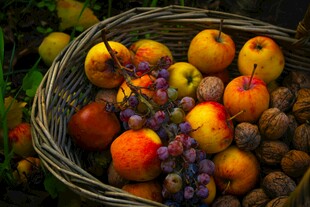 丰收果篮中的多彩果实