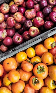 多彩苹果与柿子摆放图