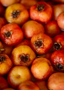 饱满山楂果实特写