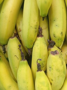 新鲜黄香蕉堆叠