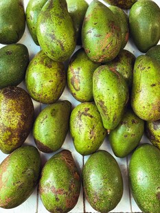 整齐摆放的新鲜青绿色水果