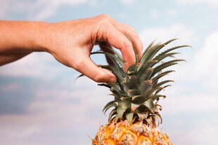 手触菠萝顶叶