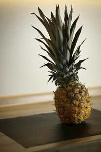 桌上的新鲜菠萝