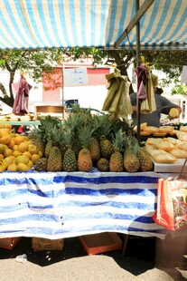 集市上的多彩水果摊