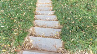 石板小径穿行于翠绿草地