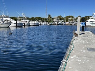 宁静码头的停泊风景