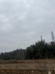 郊外开阔田野与树木景观