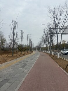 城市空旷的彩色步道