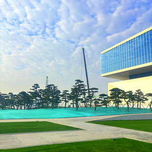 现代建筑旁的绿地景观